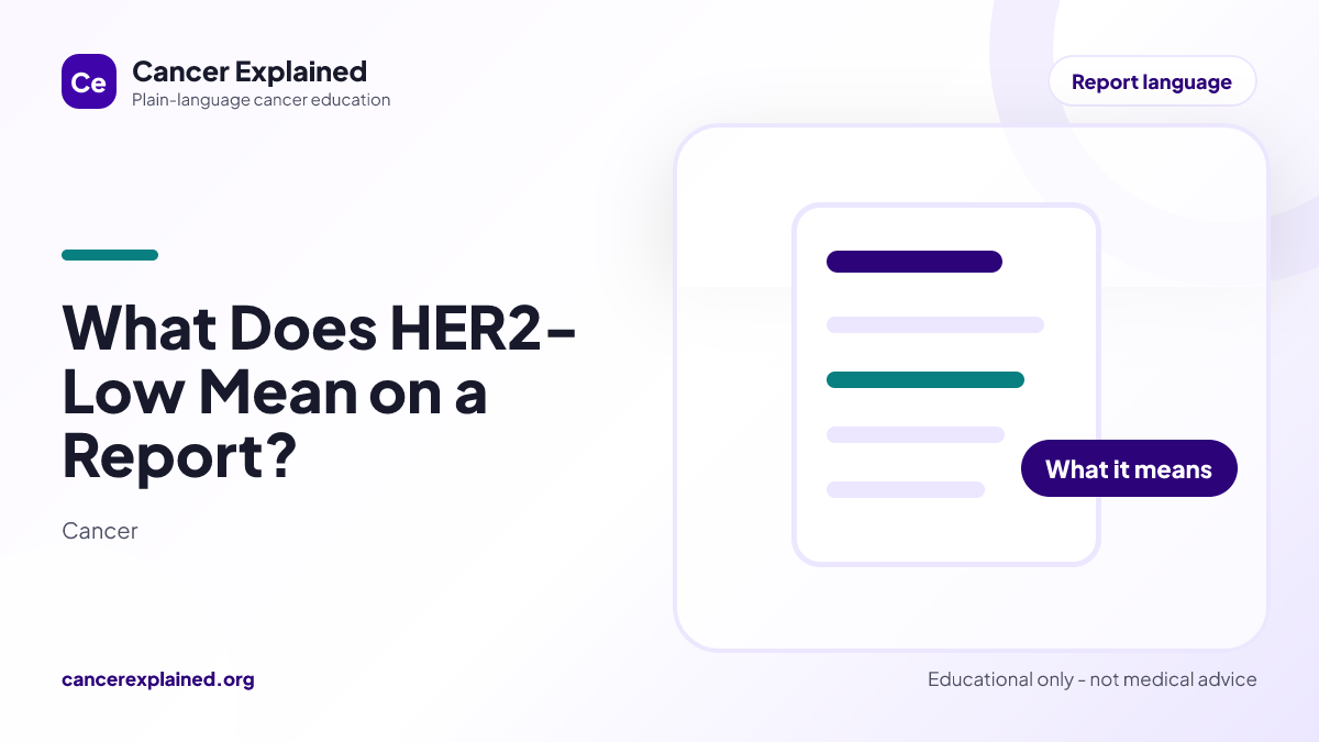 Visual summary for What Does HER2-Low Mean on a Report?