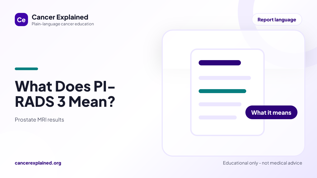 Visual summary for What Does PI-RADS 3 Mean?