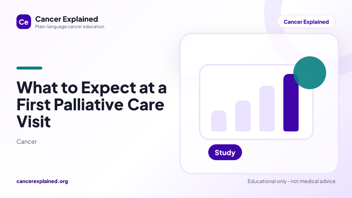 Visual summary for What to Expect at a First Palliative Care Visit