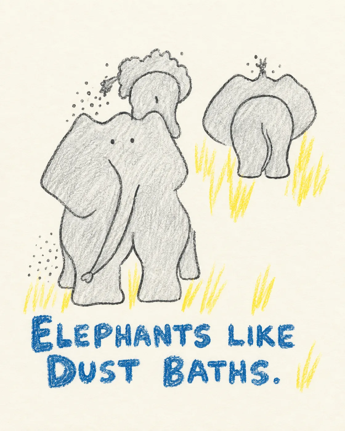 Illustrated page: Elephants like dust baths!