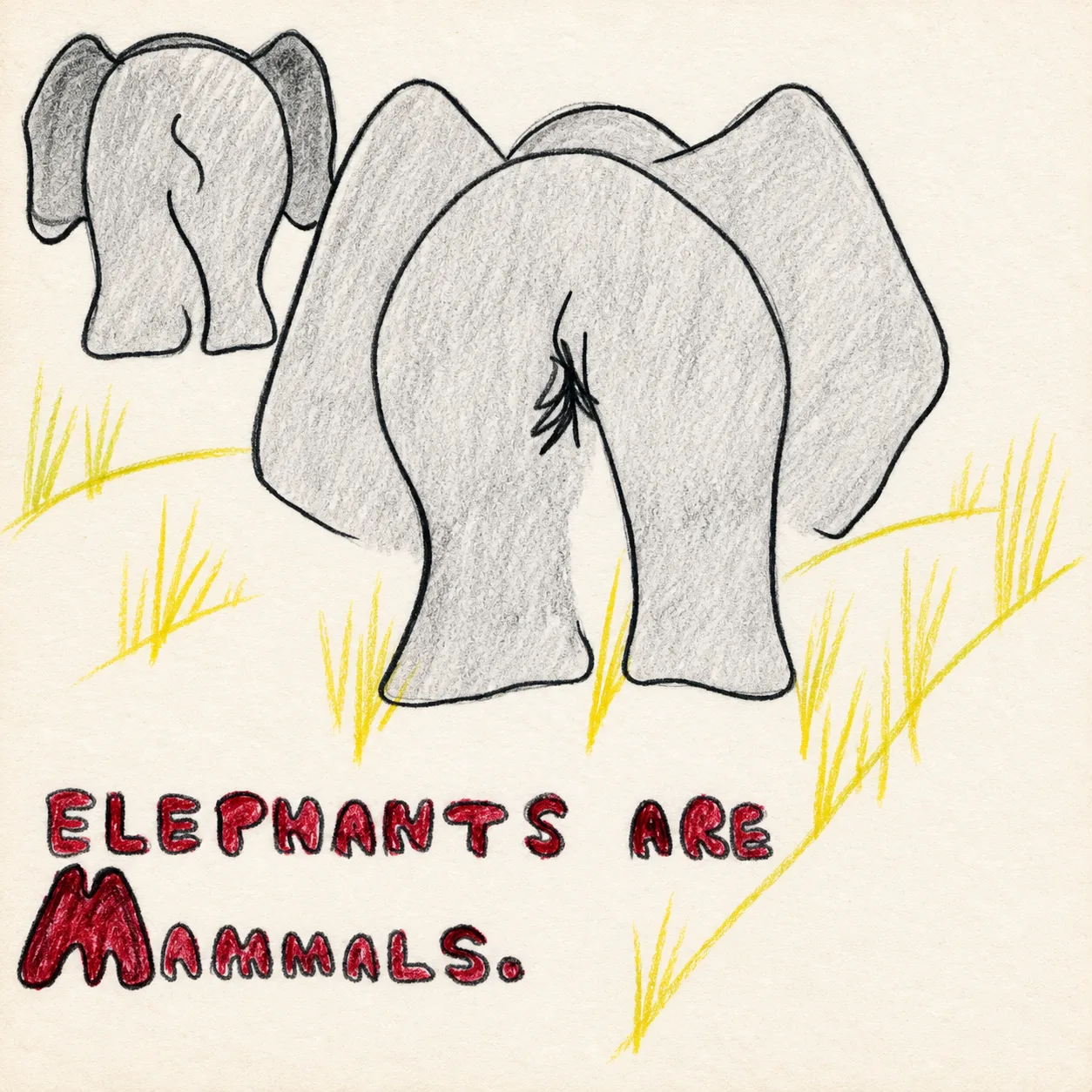 Illustrated page: Elephants are mammals.