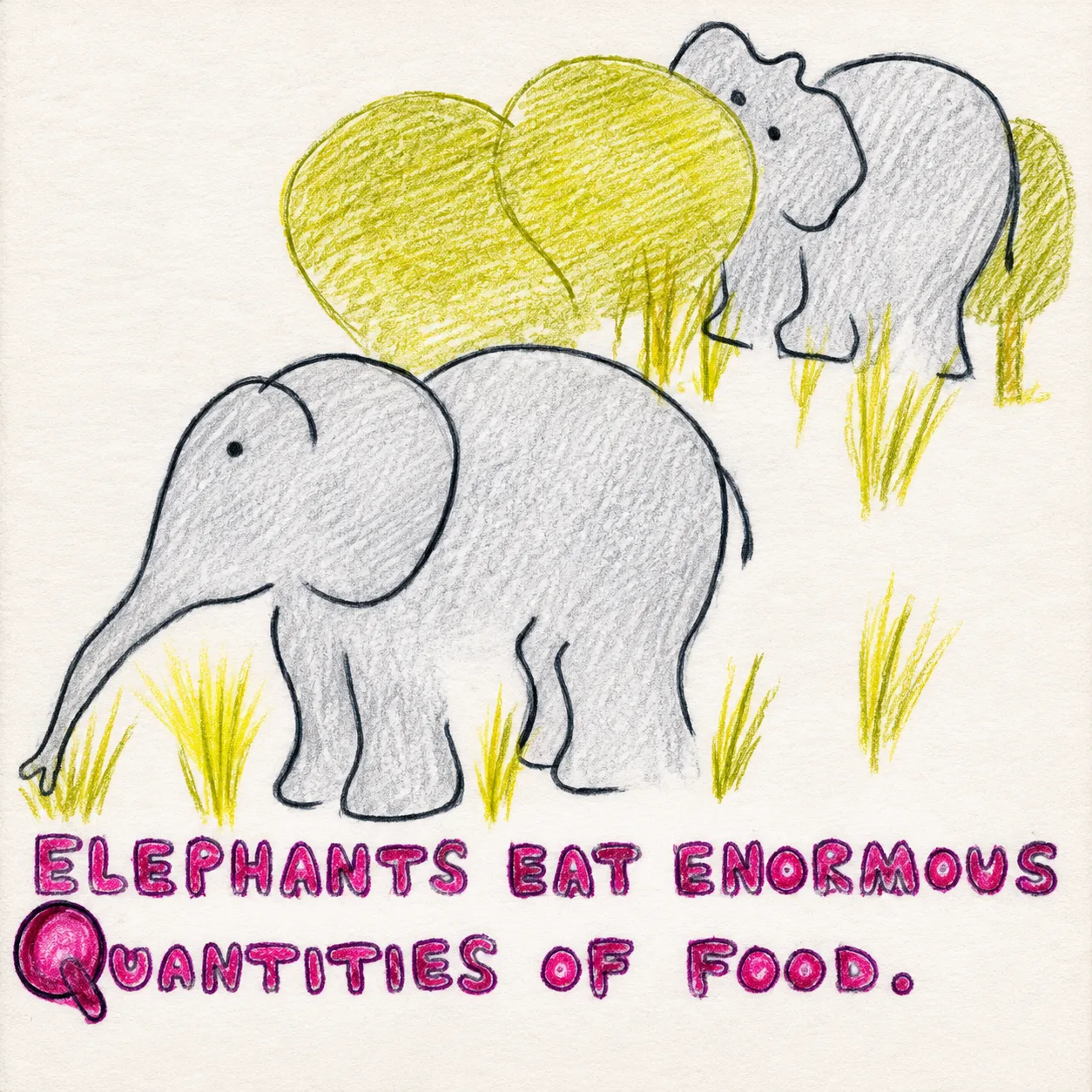 Illustrated page: Elephants eat enormous quantities of food!