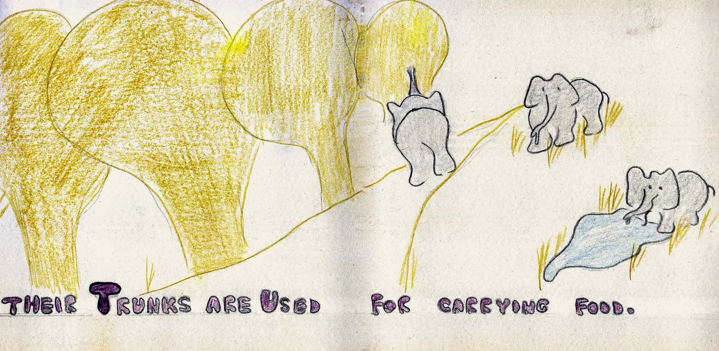 Illustrated page: Their trunks are used for carrying food.
