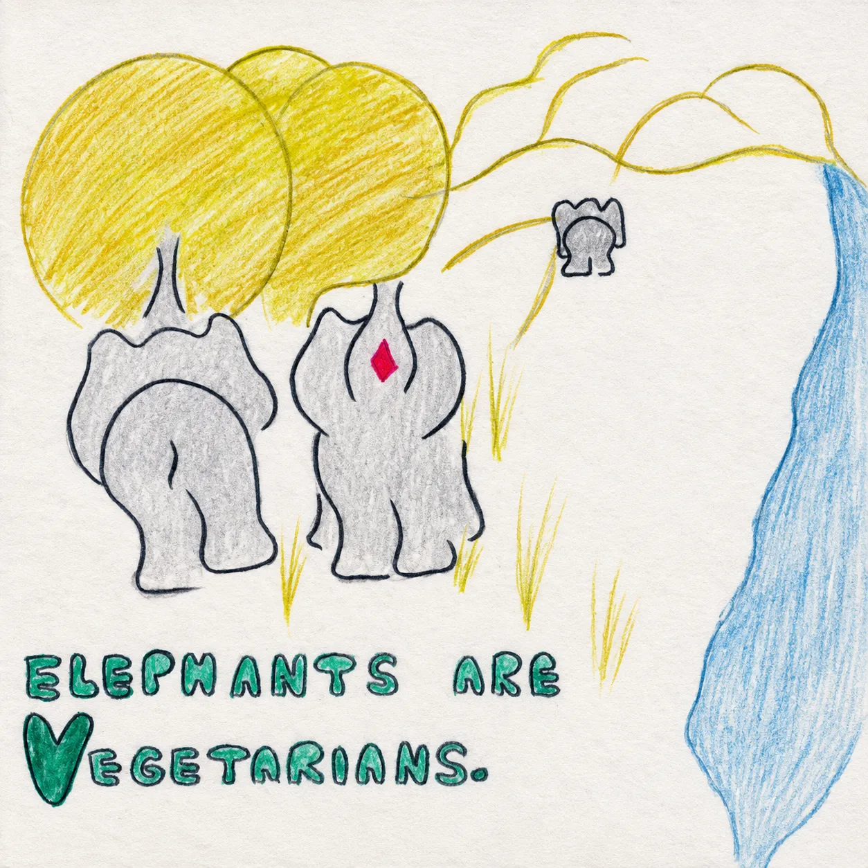 Illustrated page: Elephants are vegetarians.