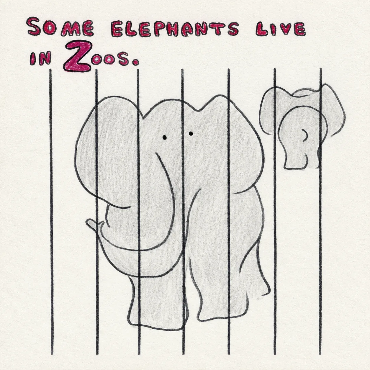 Illustrated page: Some elephants live in zoos.