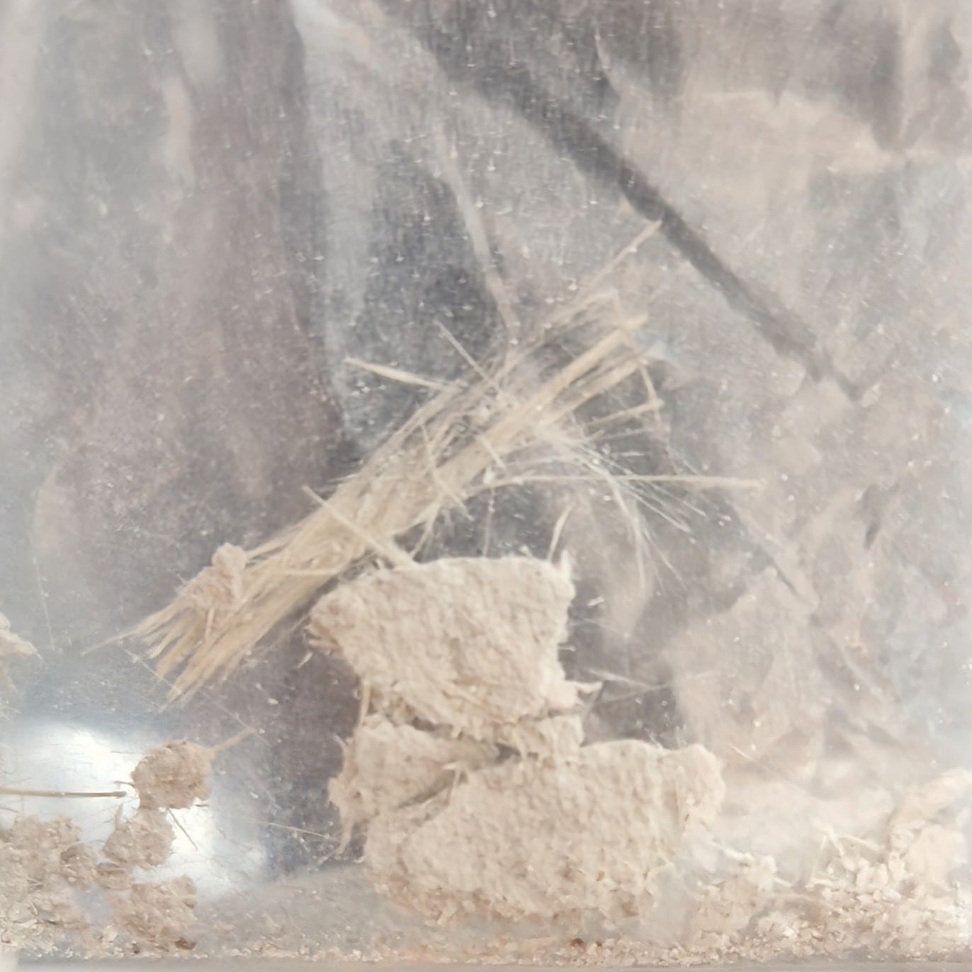 Close-up of loose asbestos fibers and crumbled insulation board inside a clear plastic sample bag