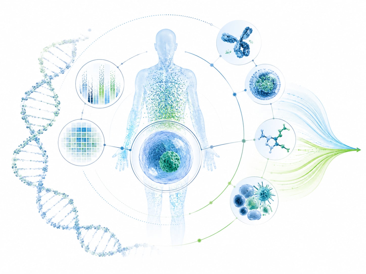 An illustration: dNA double helix beside a human silhouette with molecular and cell icons