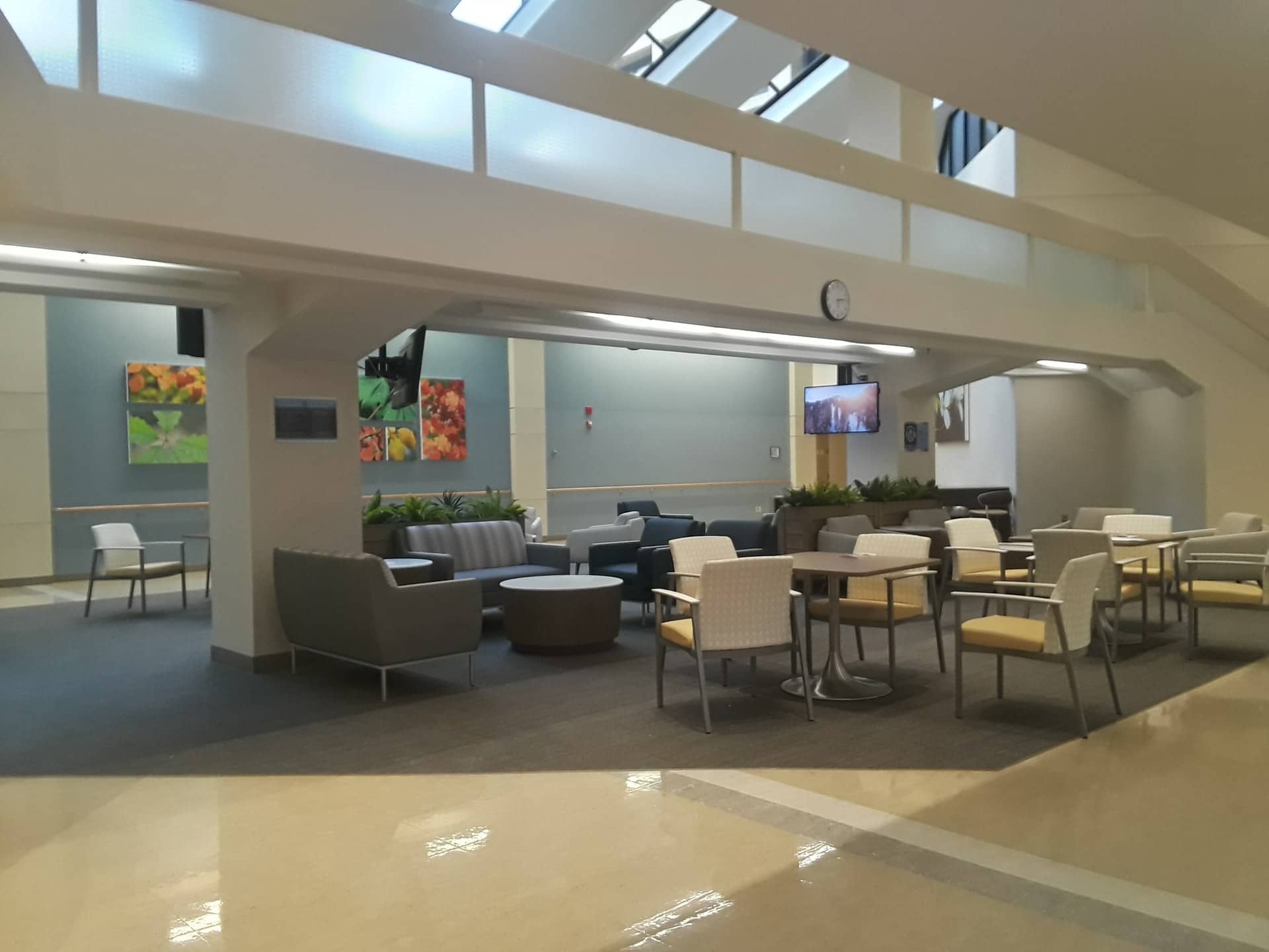 An empty waiting area with chairs, small tables, plants and skylights.