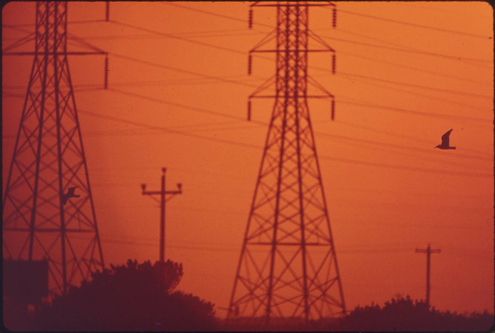 Silhouetted electricity pylons and power lines with birds against an orange sky.