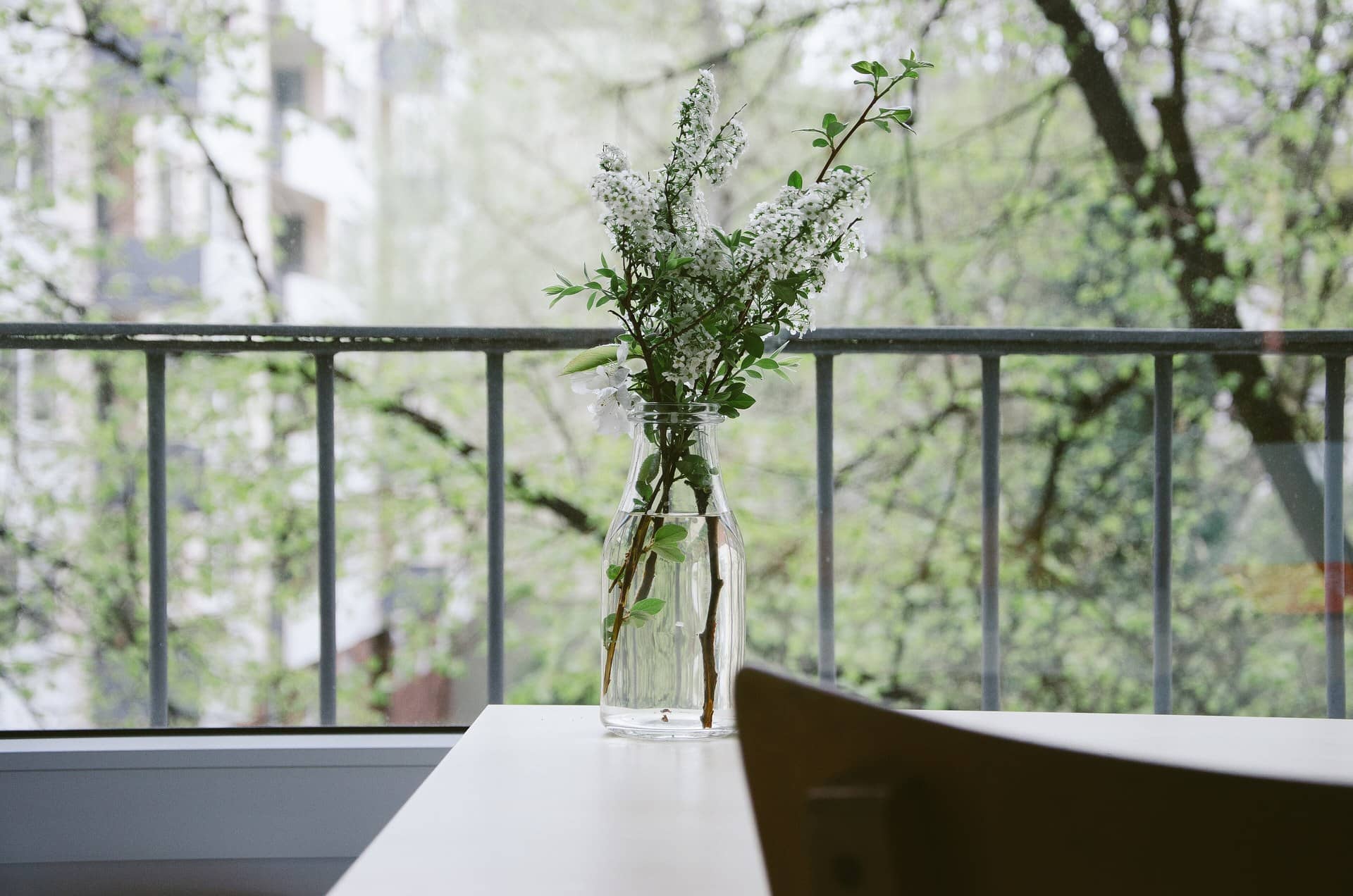 A glass vase of white blossom on a table by a window.