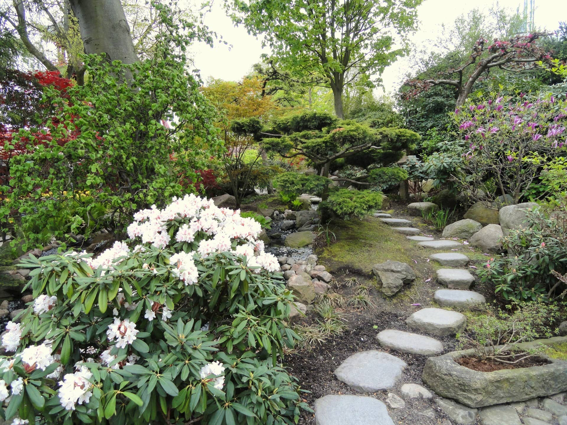 A stepping-stone path beside flowering shrubs in a garden.